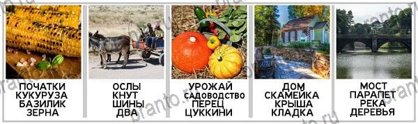 1 Фото 4 Слова - ответы на игру