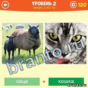 1 Фото: Что за зверь? - ответы на игру (android)