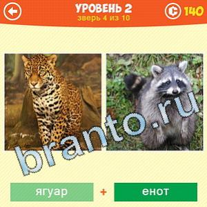 1 Фото: Что за зверь? - ответы на игру (android)