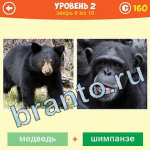1 Фото: Что за зверь? - ответы на игру (android)