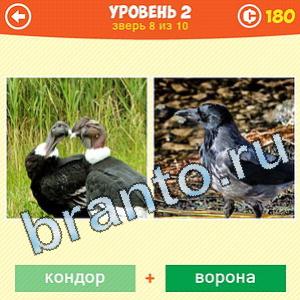 1 Фото: Что за зверь? - ответы на игру (android)