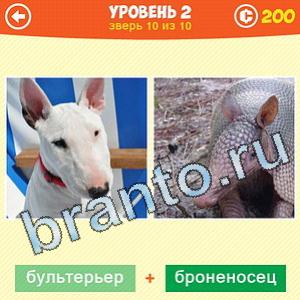 1 Фото: Что за зверь? - ответы на игру (android)