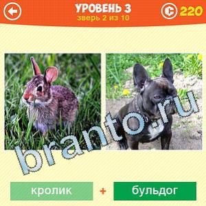 1 Фото: Что за зверь? - ответы на игру (android)