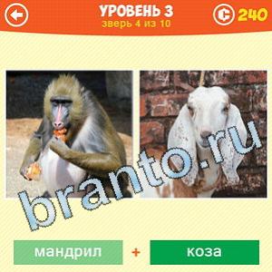 1 Фото: Что за зверь? - ответы на игру (android)