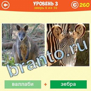 1 Фото: Что за зверь? - ответы на игру (android)