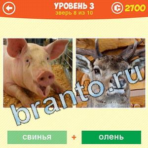 1 Фото: Что за зверь? - ответы на игру (android)