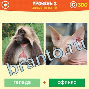1 Фото: Что за зверь? - ответы на игру (android)