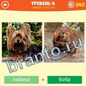 1 Фото: Что за зверь? - ответы на игру (android)
