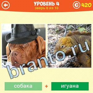 1 Фото: Что за зверь? - ответы на игру (android)