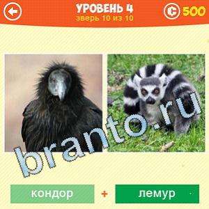 1 Фото: Что за зверь? - ответы на игру (android)