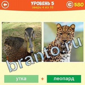 1 Фото: Что за зверь? - ответы на игру (android)
