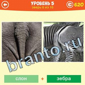 1 Фото: Что за зверь? - ответы на игру (android)