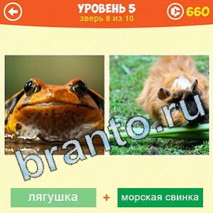 1 Фото: Что за зверь? - ответы на игру (android)