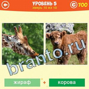1 Фото: Что за зверь? - ответы на игру (android)
