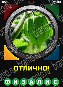 1 Взгляд 1 Слово - ответы на все уровни игры