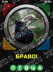 1 Взгляд 1 Слово - ответы на все уровни игры