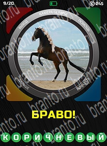 1 Взгляд 1 Слово - ответы на все уровни игры