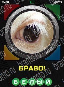 1 Взгляд 1 Слово - ответы на все уровни игры