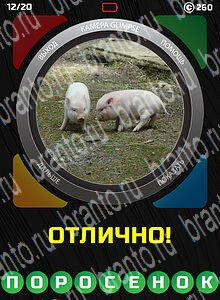 1 Взгляд 1 Слово - ответы на все уровни игры
