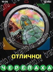 1 Взгляд 1 Слово - ответы на все уровни игры