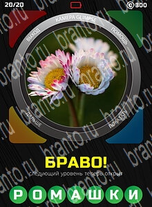1 Взгляд 1 Слово - ответы на все уровни игры