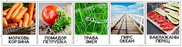 2 Кольца - ответы на игру