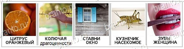 2 Кольца - ответы на игру