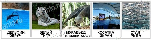 2 Кольца - ответы на игру