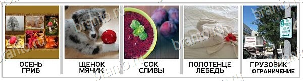 2 Кольца - ответы на игру