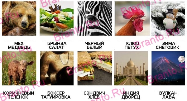 2 Подсказки - ответы на все уровни игры