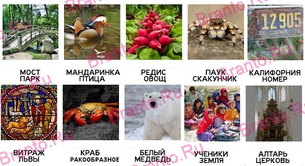 2 Подсказки - ответы на все уровни игры