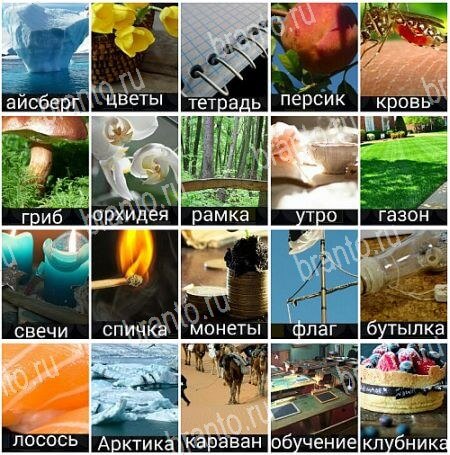 380 слов - ответы на все уровни игры