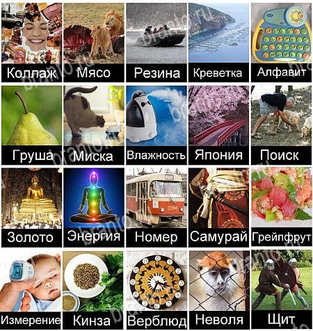 380 слов - ответы на все уровни игры