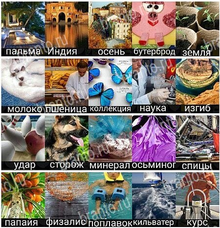 380 слов - ответы на все уровни игры