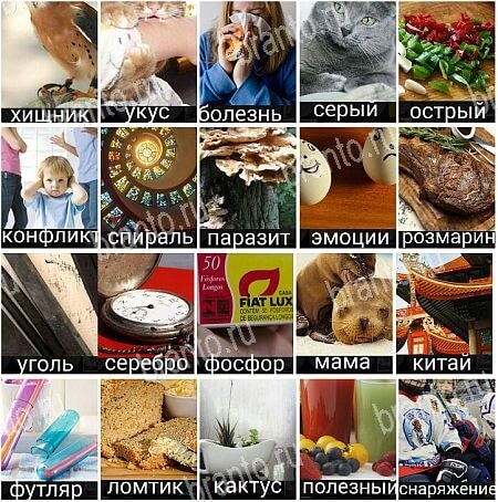 380 слов - ответы на все уровни игры