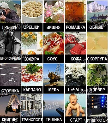 380 слов - ответы на все уровни игры