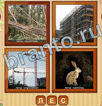 4 ФОТО (Одноклассники, ВКонтакте)