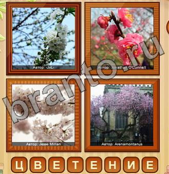 4 ФОТО (Одноклассники, ВКонтакте)