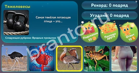 5 Вопросов обо всём (Одноклассники)