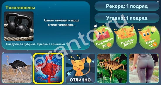 5 Вопросов обо всём (Одноклассники)