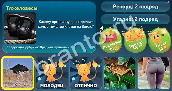 5 Вопросов обо всём (Одноклассники)
