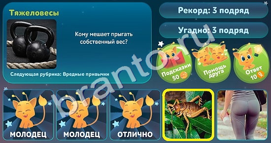 5 Вопросов обо всём (Одноклассники)