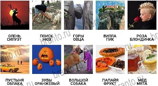 600 слов - ответы на все уровни игры