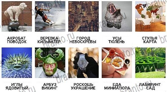 600 слов - ответы на все уровни игры