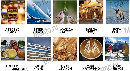 600 слов - ответы на все уровни игры
