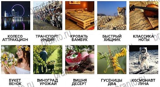 600 слов - ответы на все уровни игры