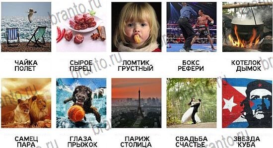 600 слов - ответы на все уровни игры