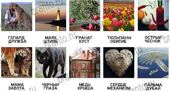 600 слов - ответы на все уровни игры