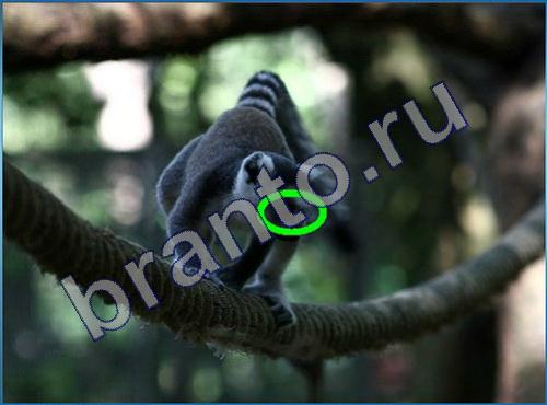 "Что-то тут не так" - ответы на игру