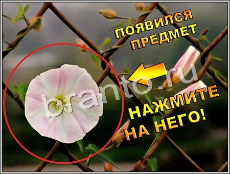 Игра Что изменилось в Одноклассниках - ответы